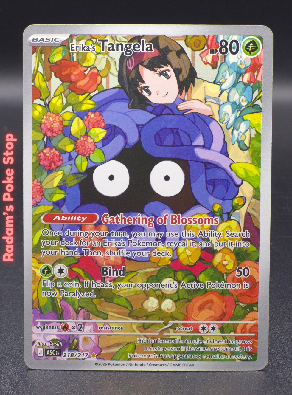 ASC 218_217 erika's tangela 2.png