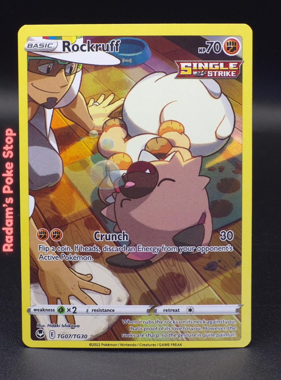 ST tg07 rockruff.png