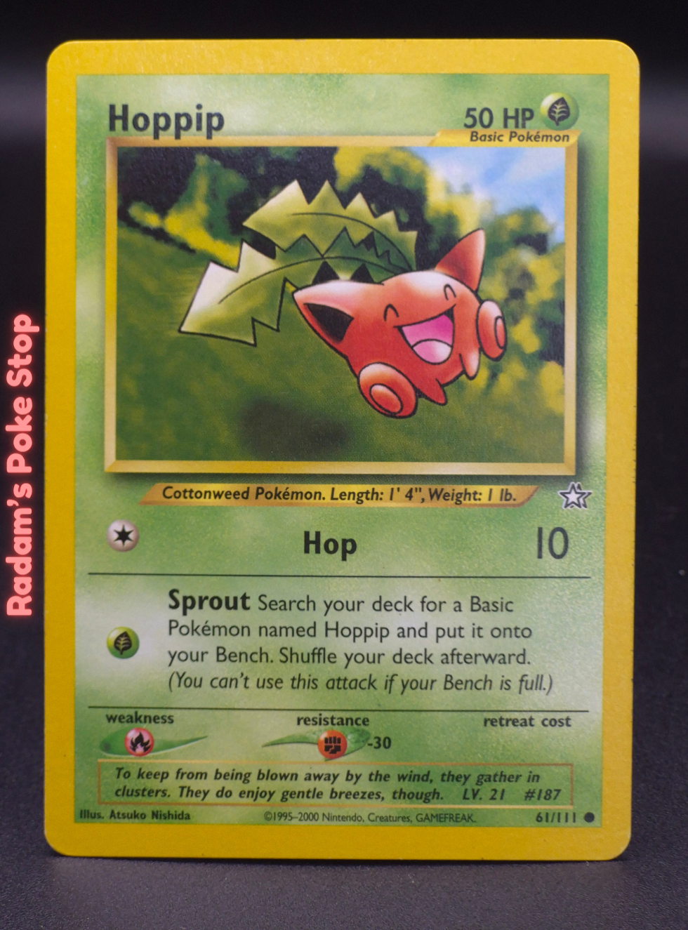 neo g 61_111 hoppip.png