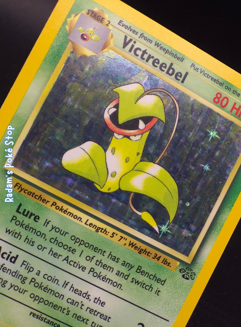 Jungle 14_64 Victreebel (3).png