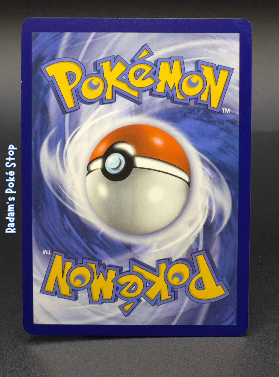 SVI 208_198 pachirisu (2).png