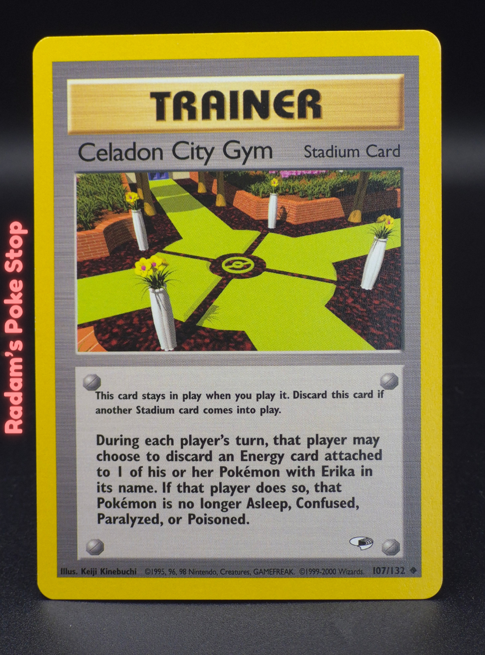 GH 107_132 celadon city gym.png
