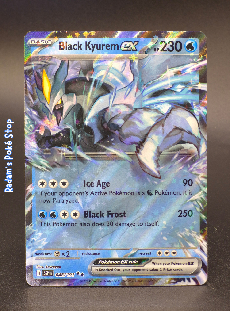 ssp 048_191 black kyurem ex.png