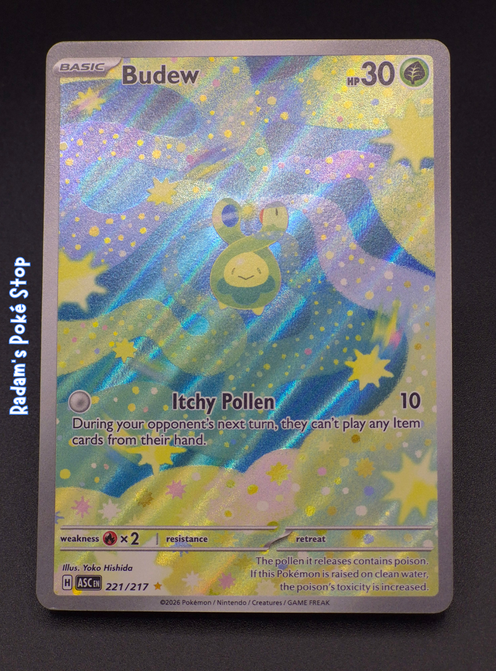 Budew #221 IR Ascended Heroes