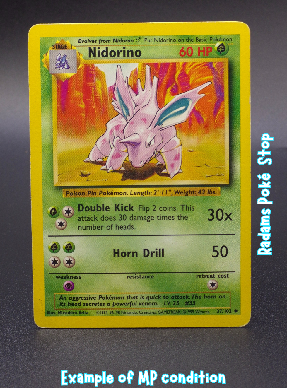 Base MP Nidorino 37_102.png