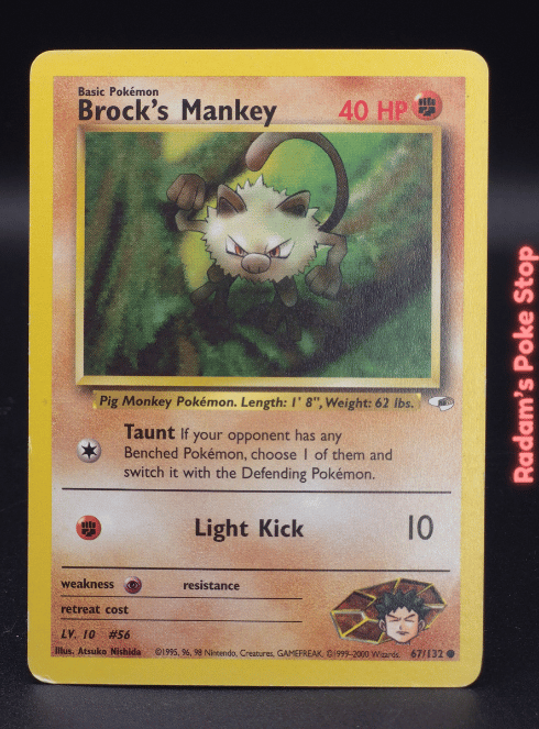 Brock's Mankey #67 Gym Heroes