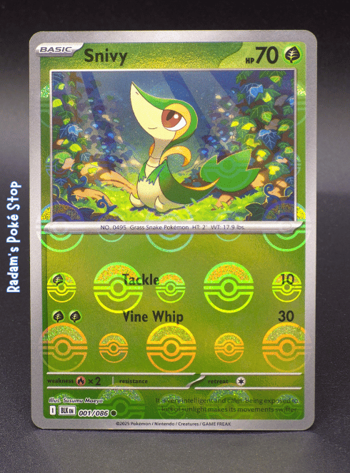 Snivy #001 Black Bolt Poké Ball