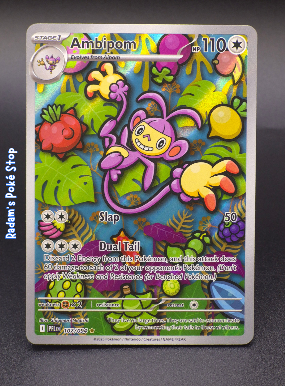 PFL 102_094 ambipom.png