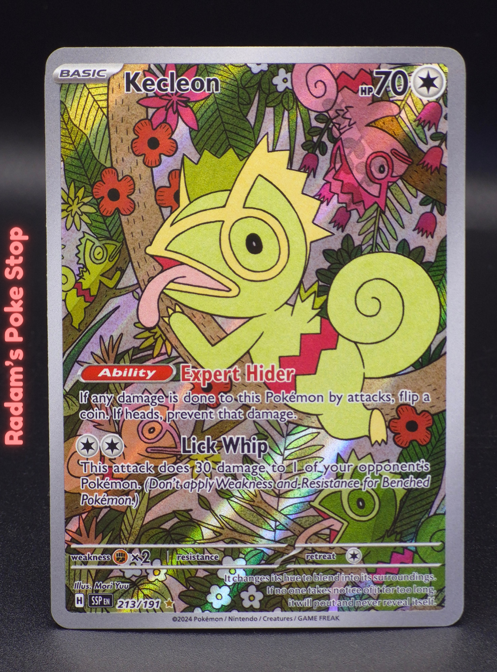 ir ssp 213_191 kecleon.png
