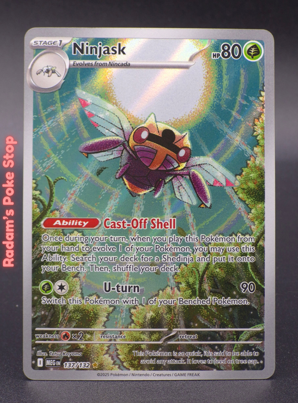 meg 137_132 ninjask.png