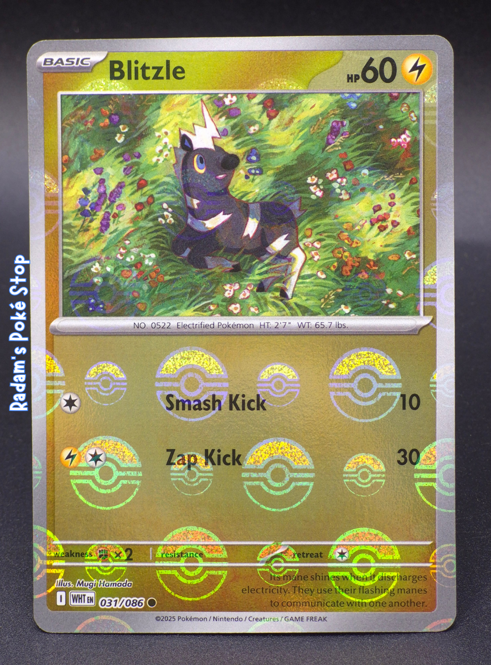 wht 031_086 poke ball blitzle.png