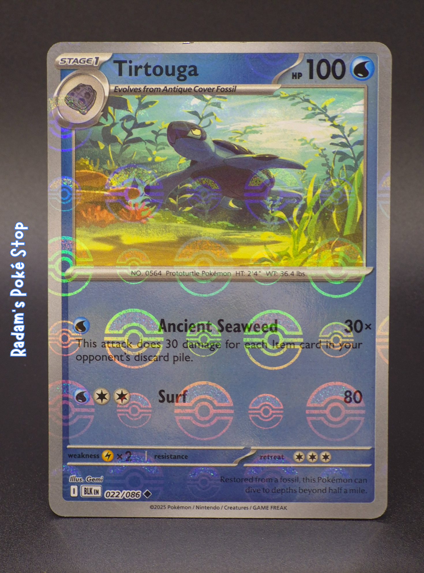 Tirtouga #22 Black Bolt Poké Ball