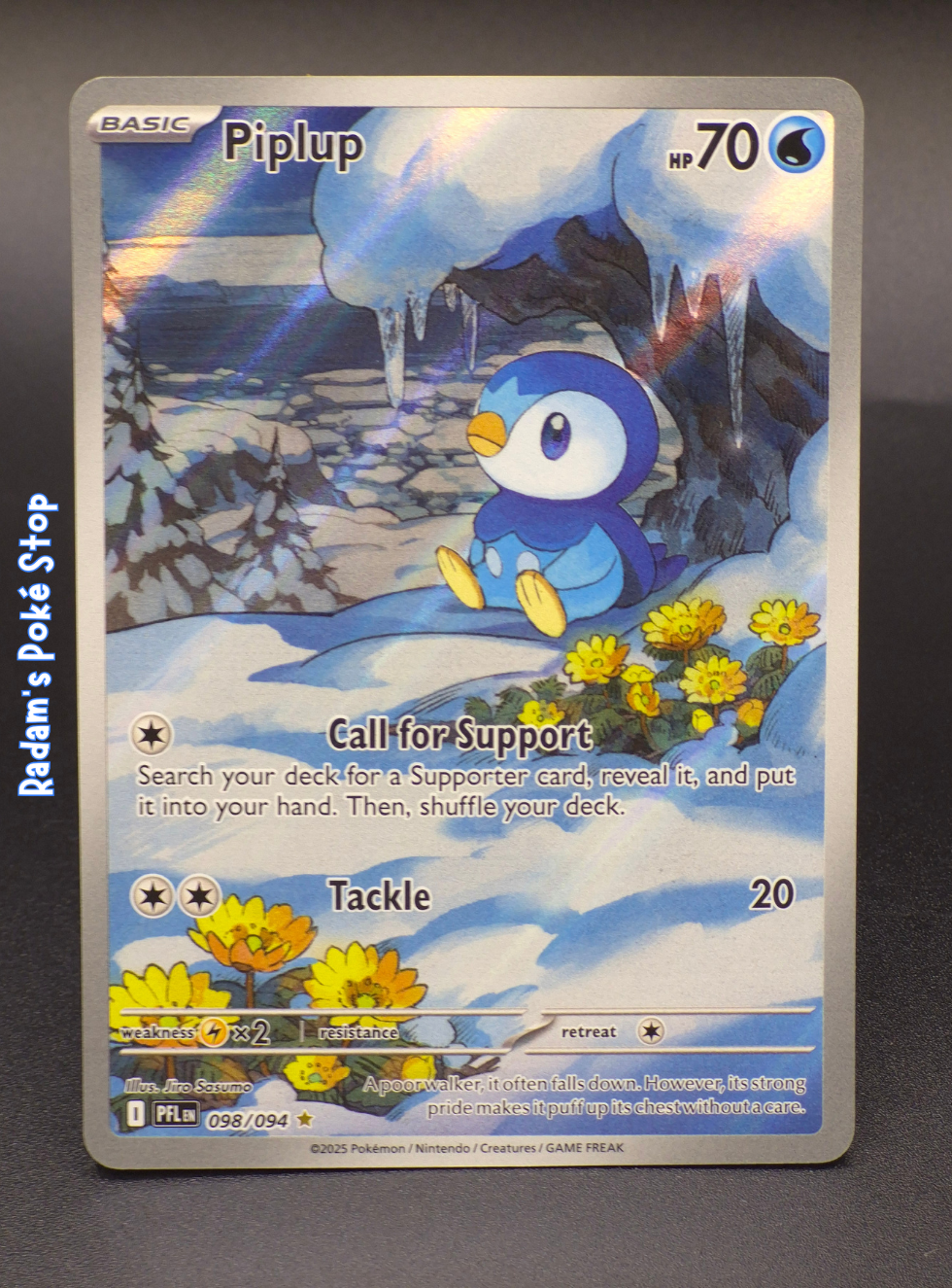 PFL 098_094 Piplup.png
