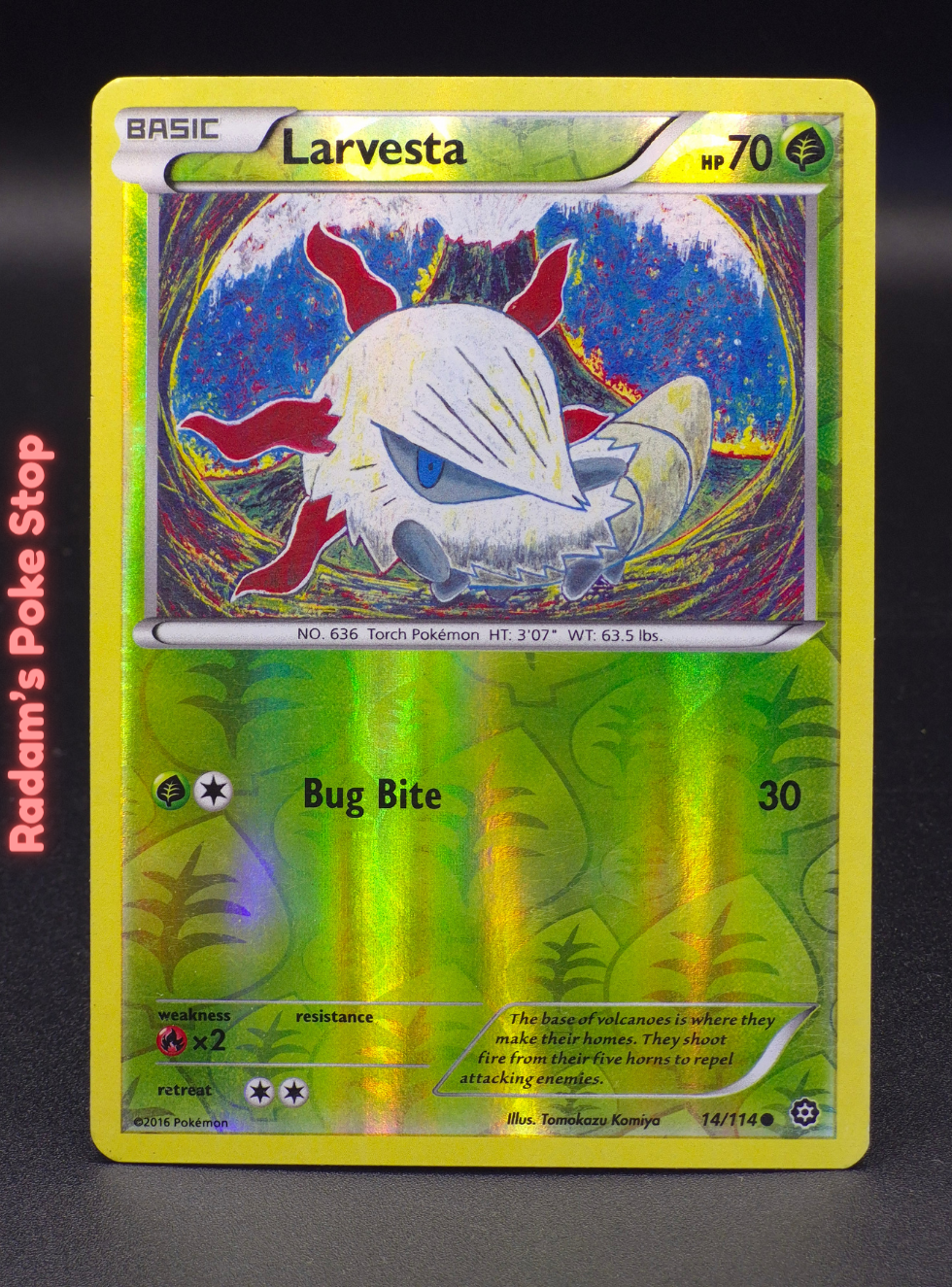 XY Steam Siege 14_114 larvesta.png