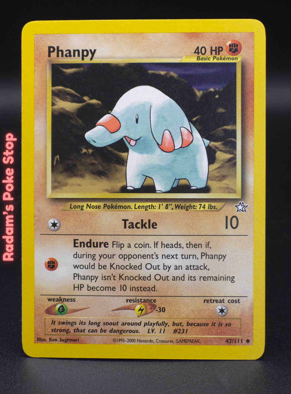 neo g 43_111 phanpy.png