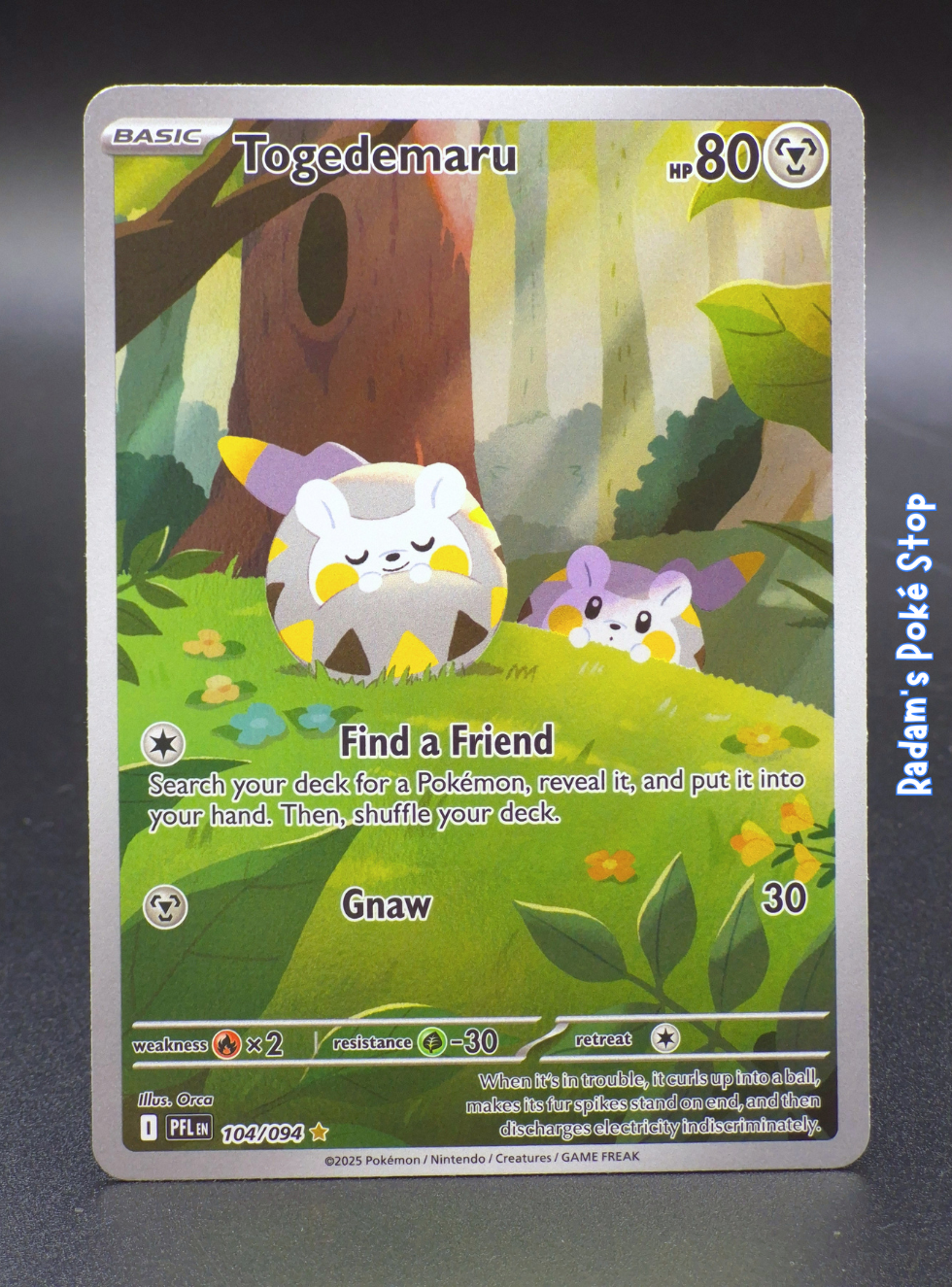 pfl 104_094 togedemaru.png