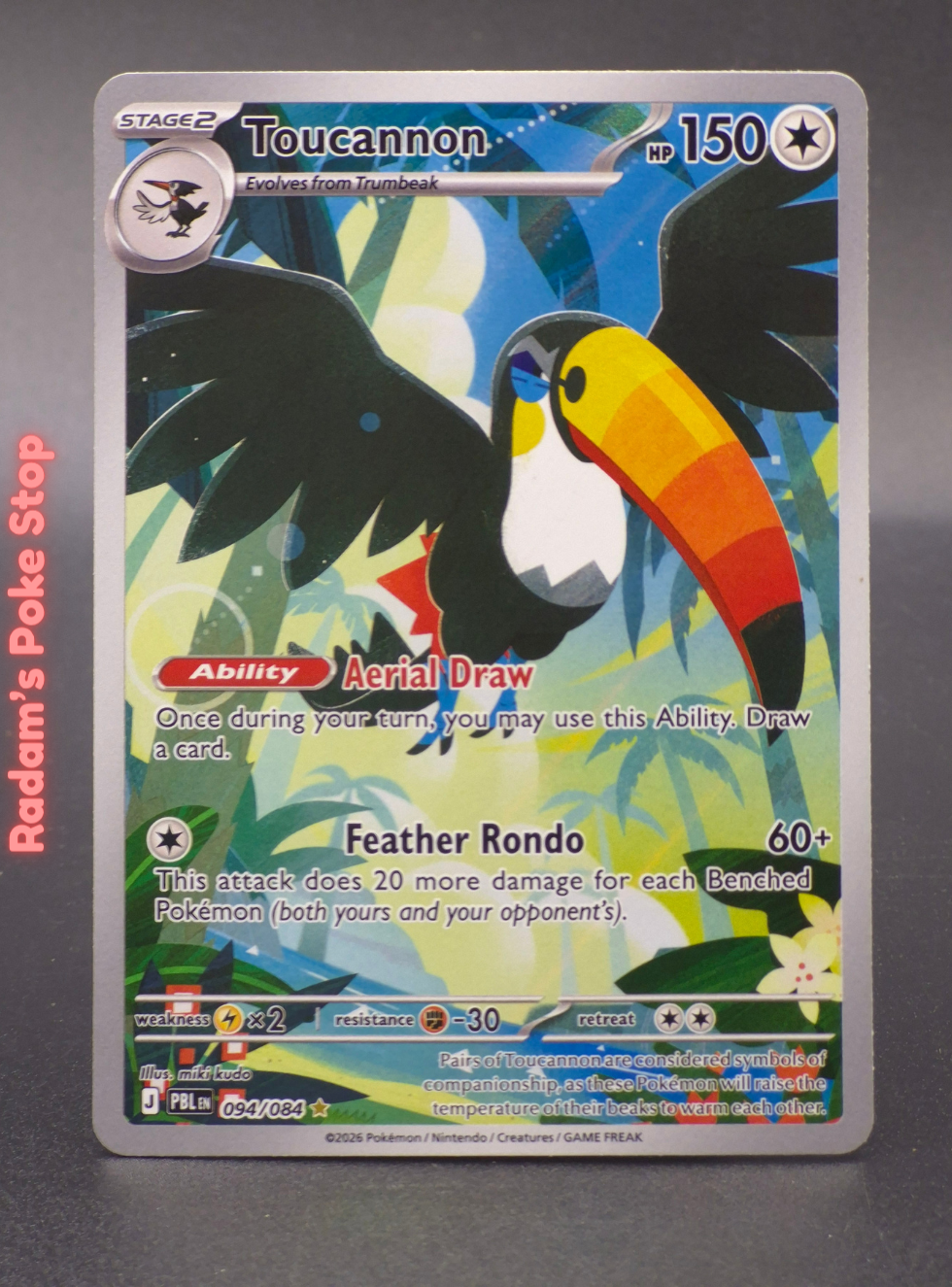 PBL 094_084 toucannon (3).png