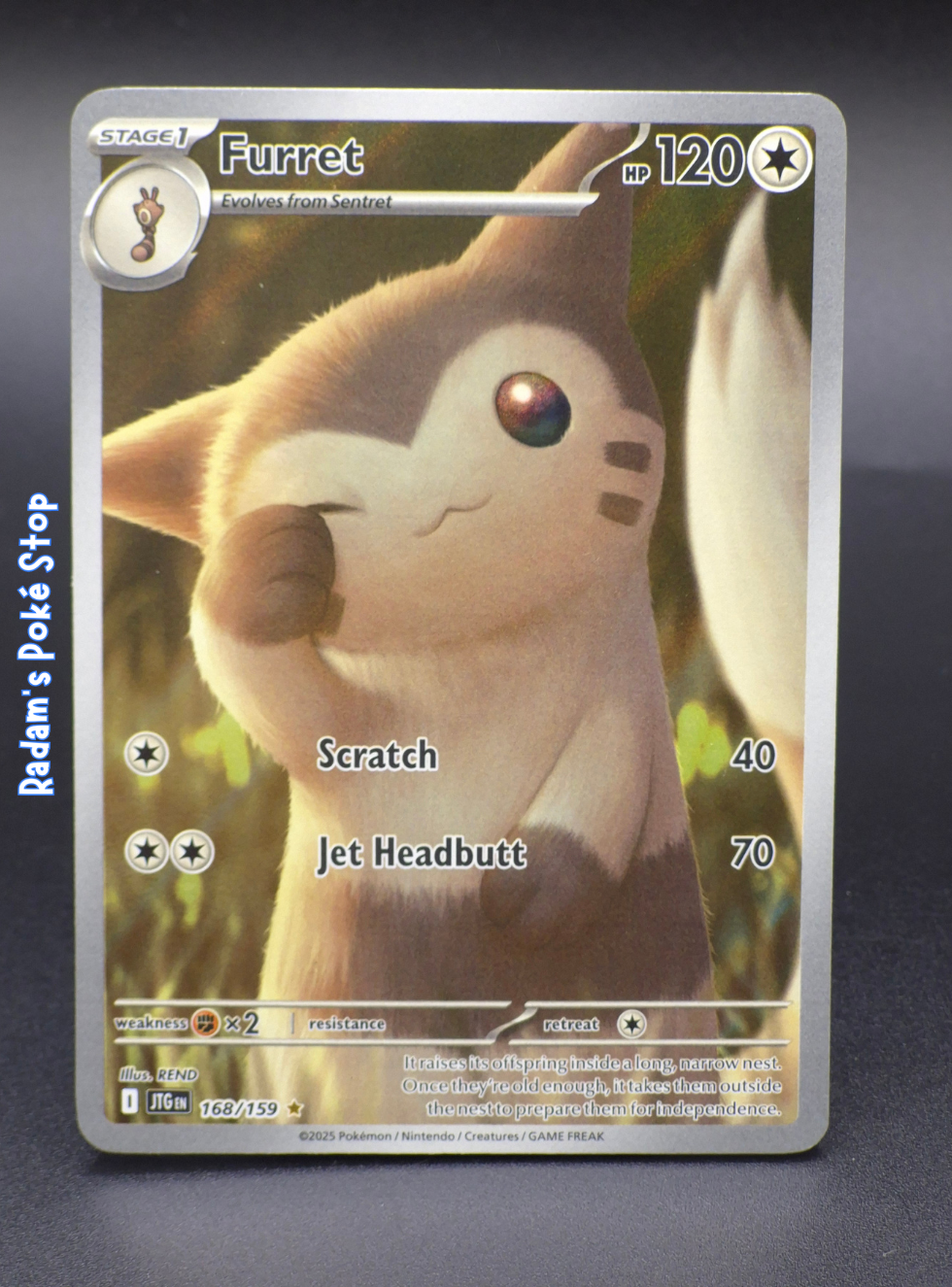 JTG 168_159 furret (3).png