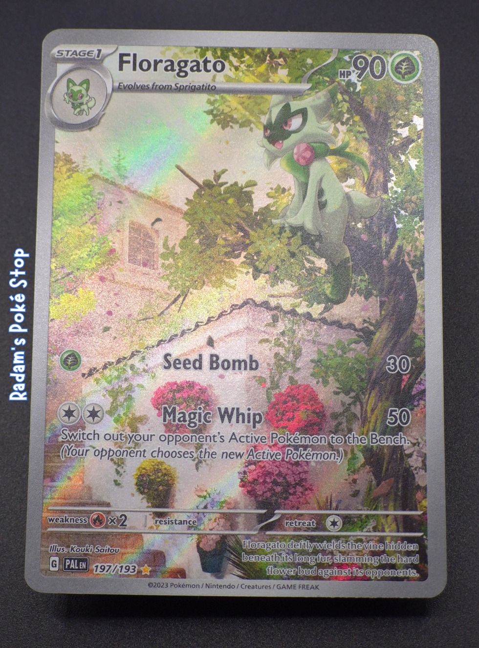 PAL197_93 Floragato.png
