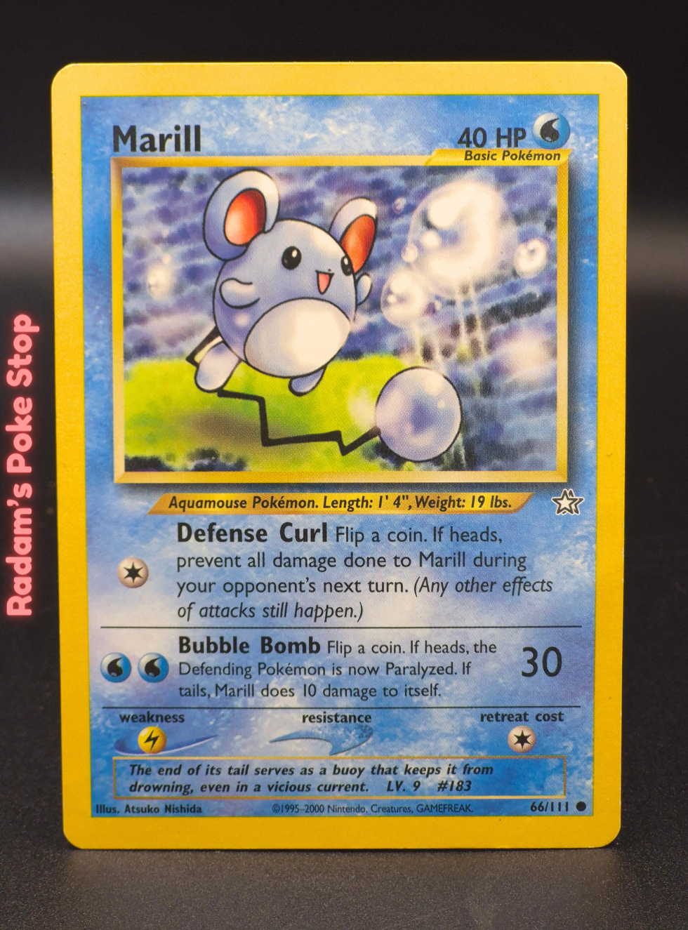 neo g 66_111 marill (7).png