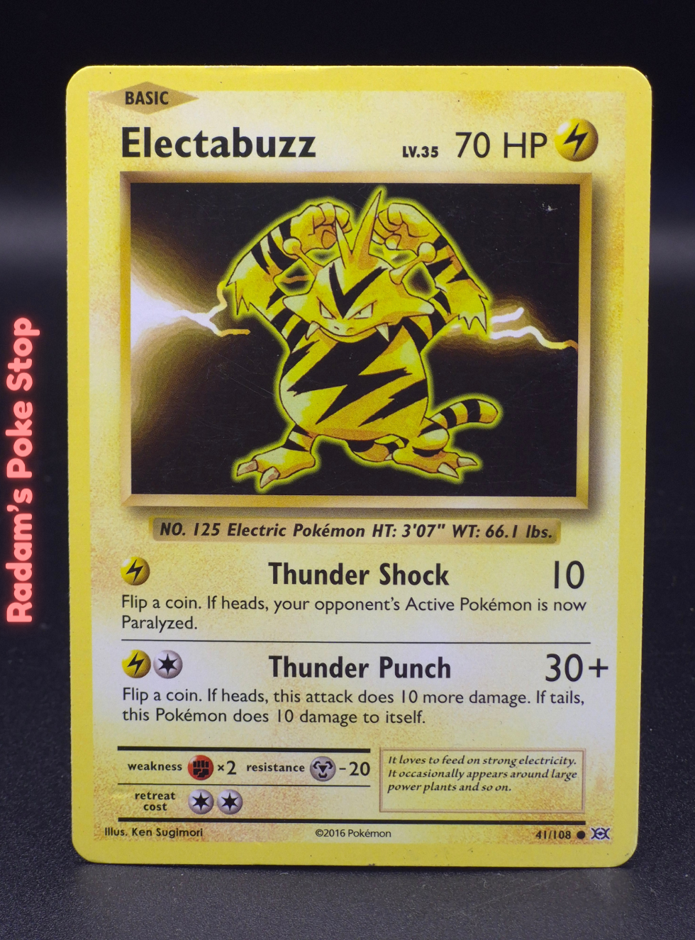 xy evo 41_108 electabuzz.png