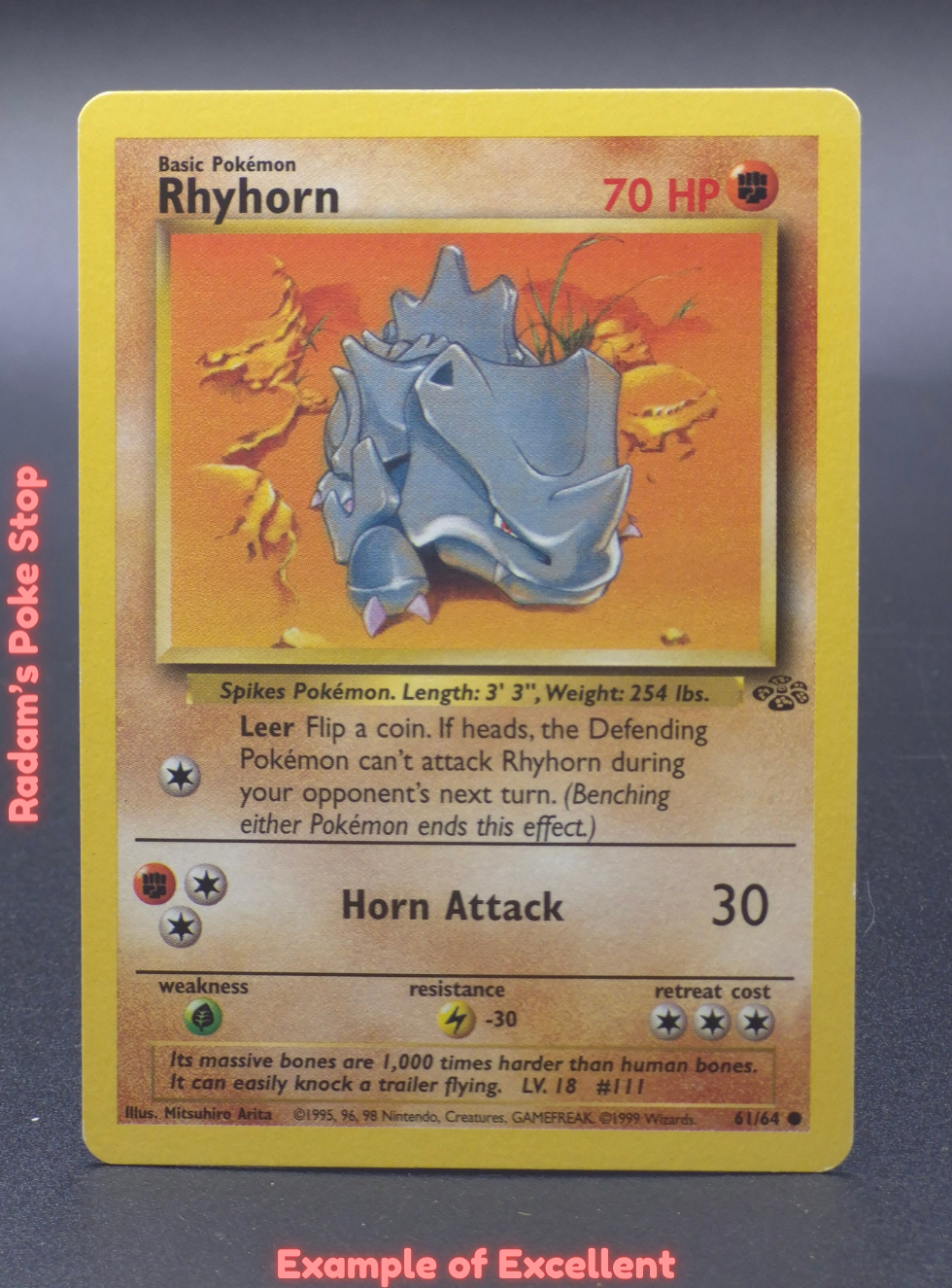 EX Rhyhorn.png