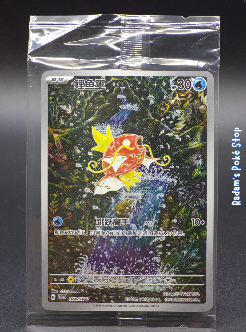 magikarp 024_sv-p.png