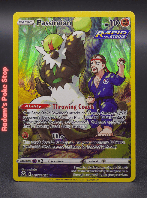 Passimian TG08/TG30 Silver Tempest, Trainer Gallery Rare presented by Pokémon TCG. 