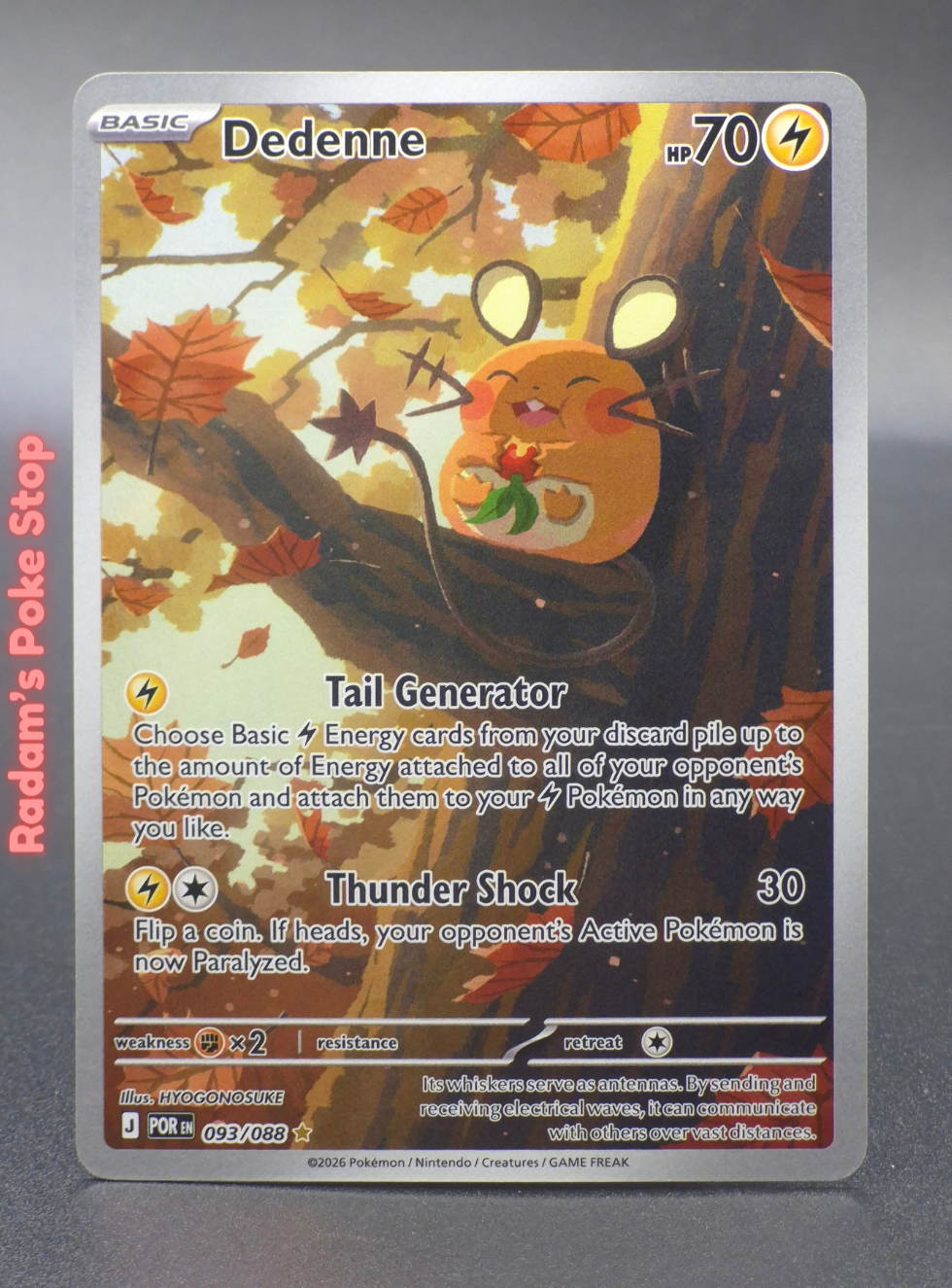 POR 093_088 dedenne.png