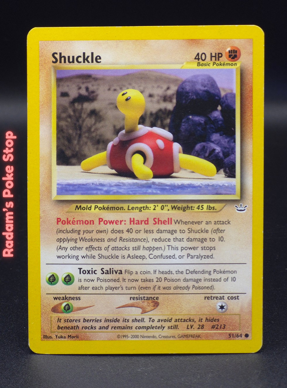 neo r 51_64 shuckle.png