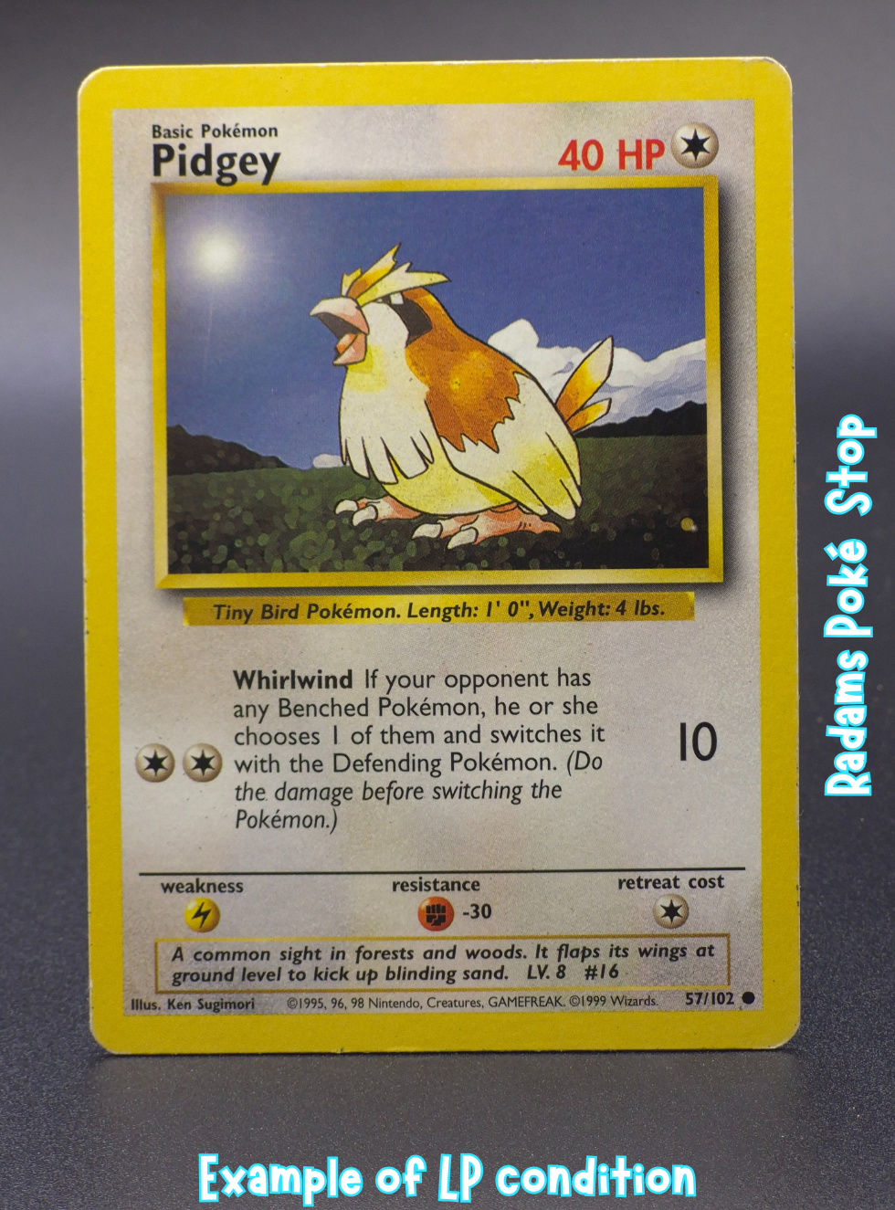 Base LP Pidgey 57_102.png
