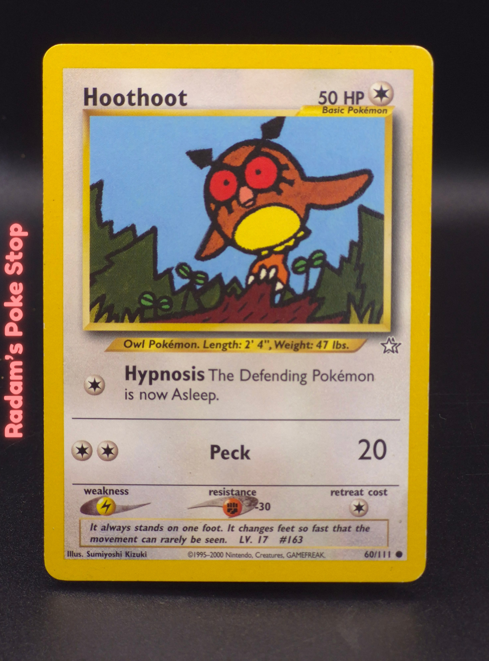 neo g 60_111 hoothoot (5).png