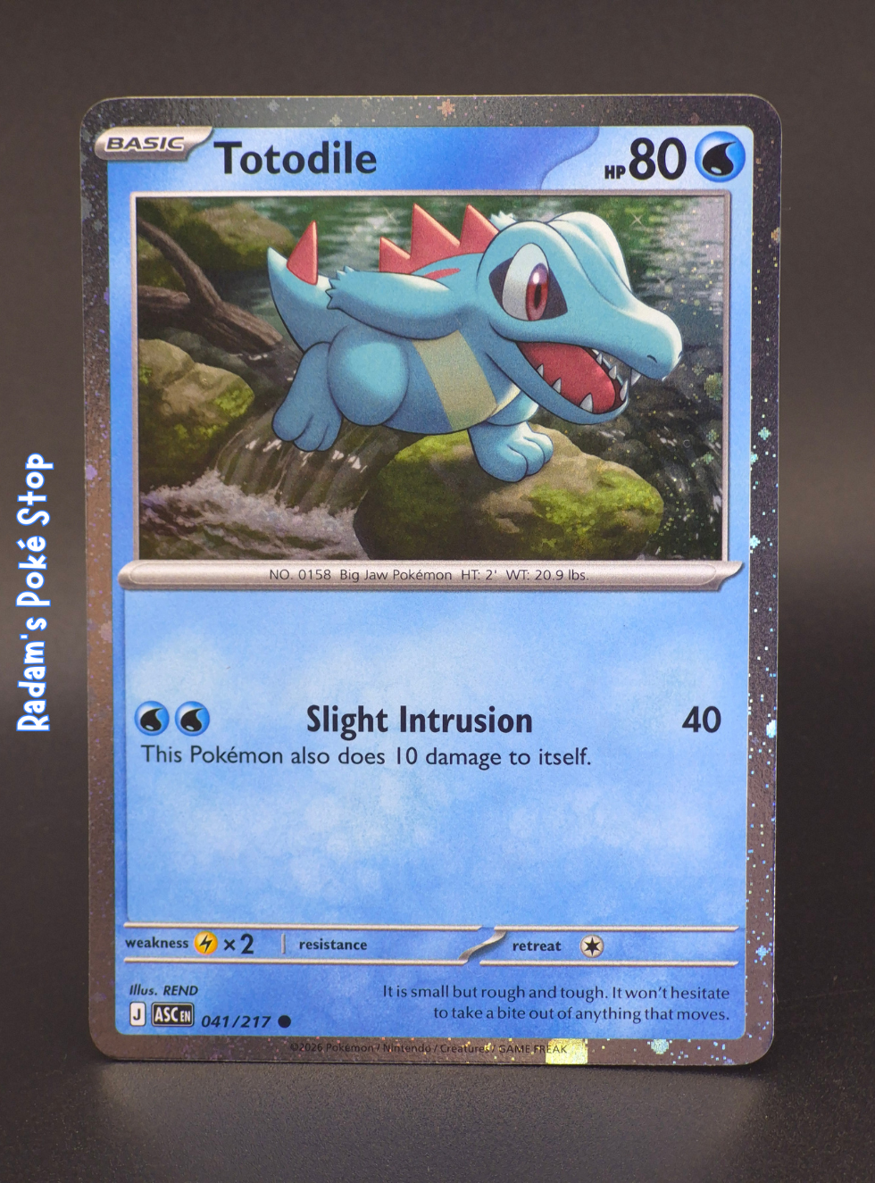 Totodile #041 Ascended Heroes Promo