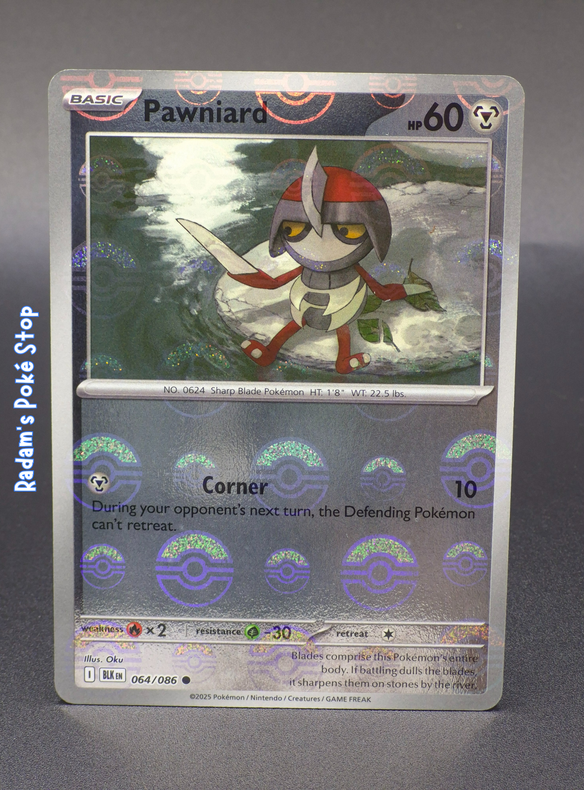 Pawniard #64 Black Bolt Poké Ball