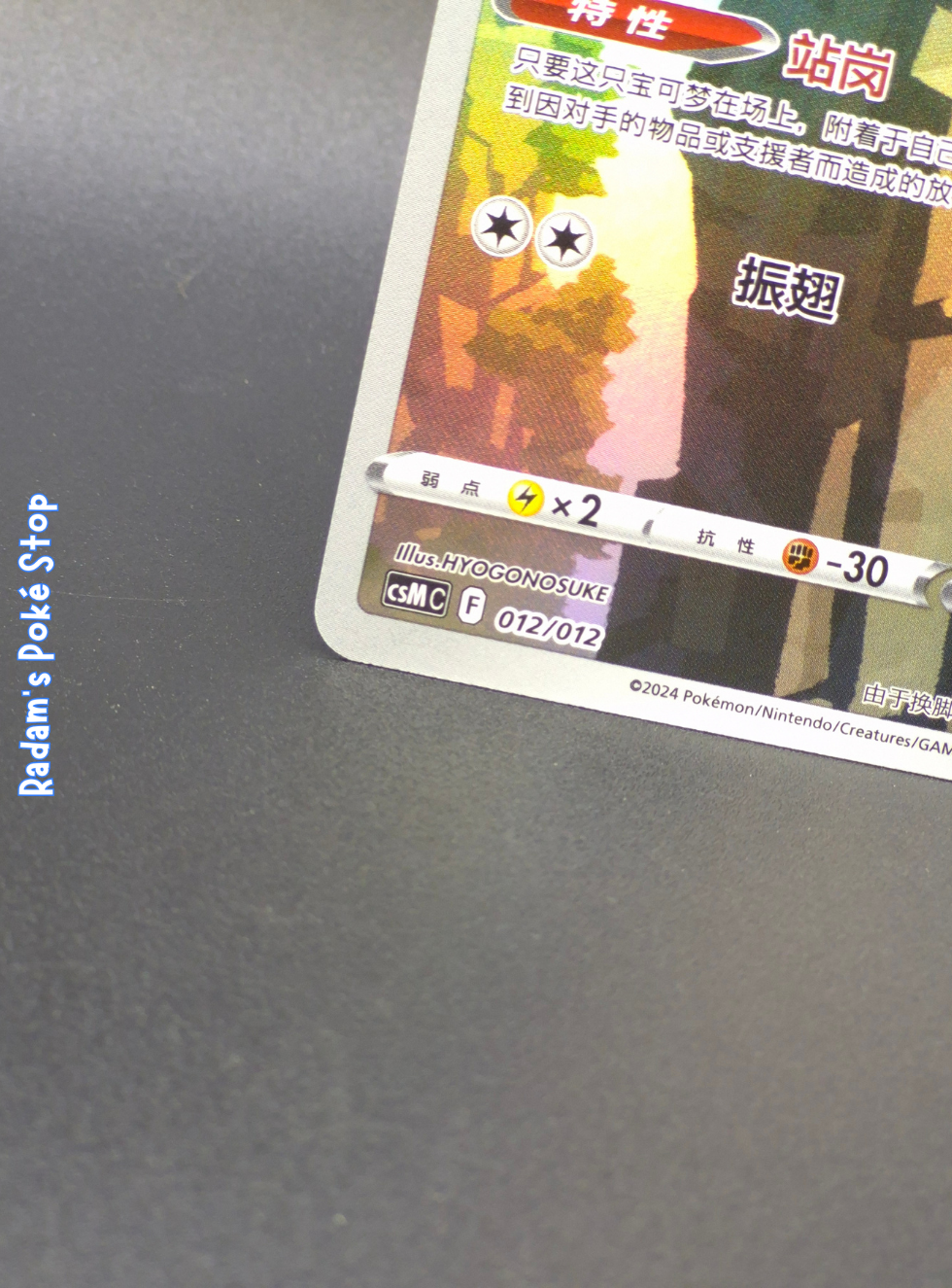 csMC 012_012 Hoothoot (2).png