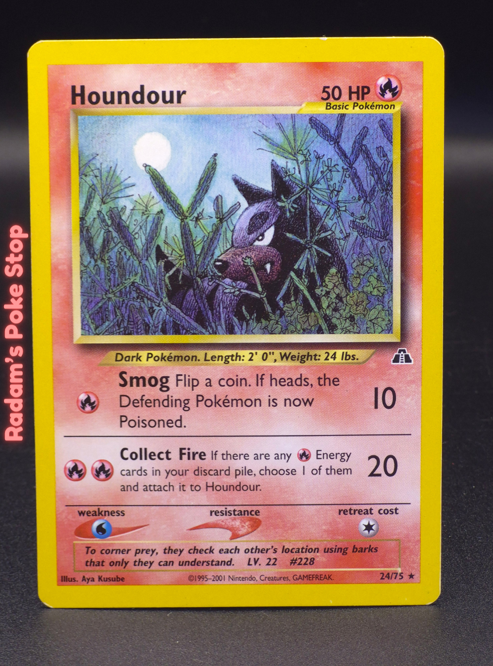 neo d 24_75 houndour.png