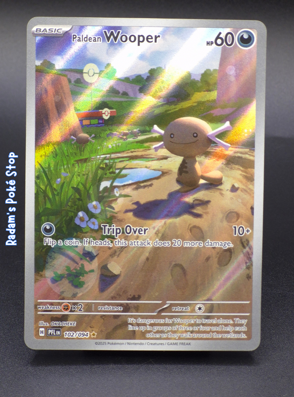 PFL 102_094 Paldean Wooper.png