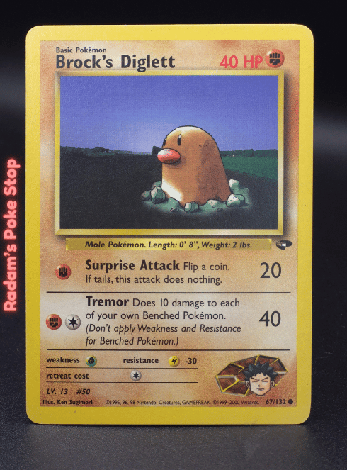 Brock's Diglett #67 Gym Challenge
