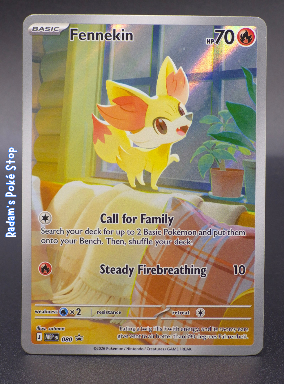 MEP 080 fennekin (3).png