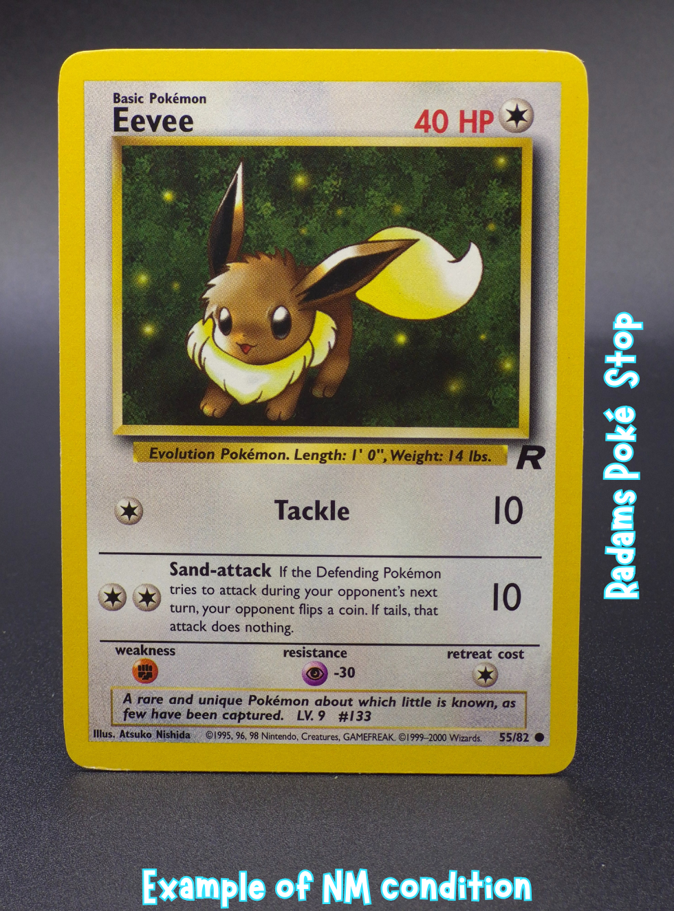 TR NM Eevee 55_82.png