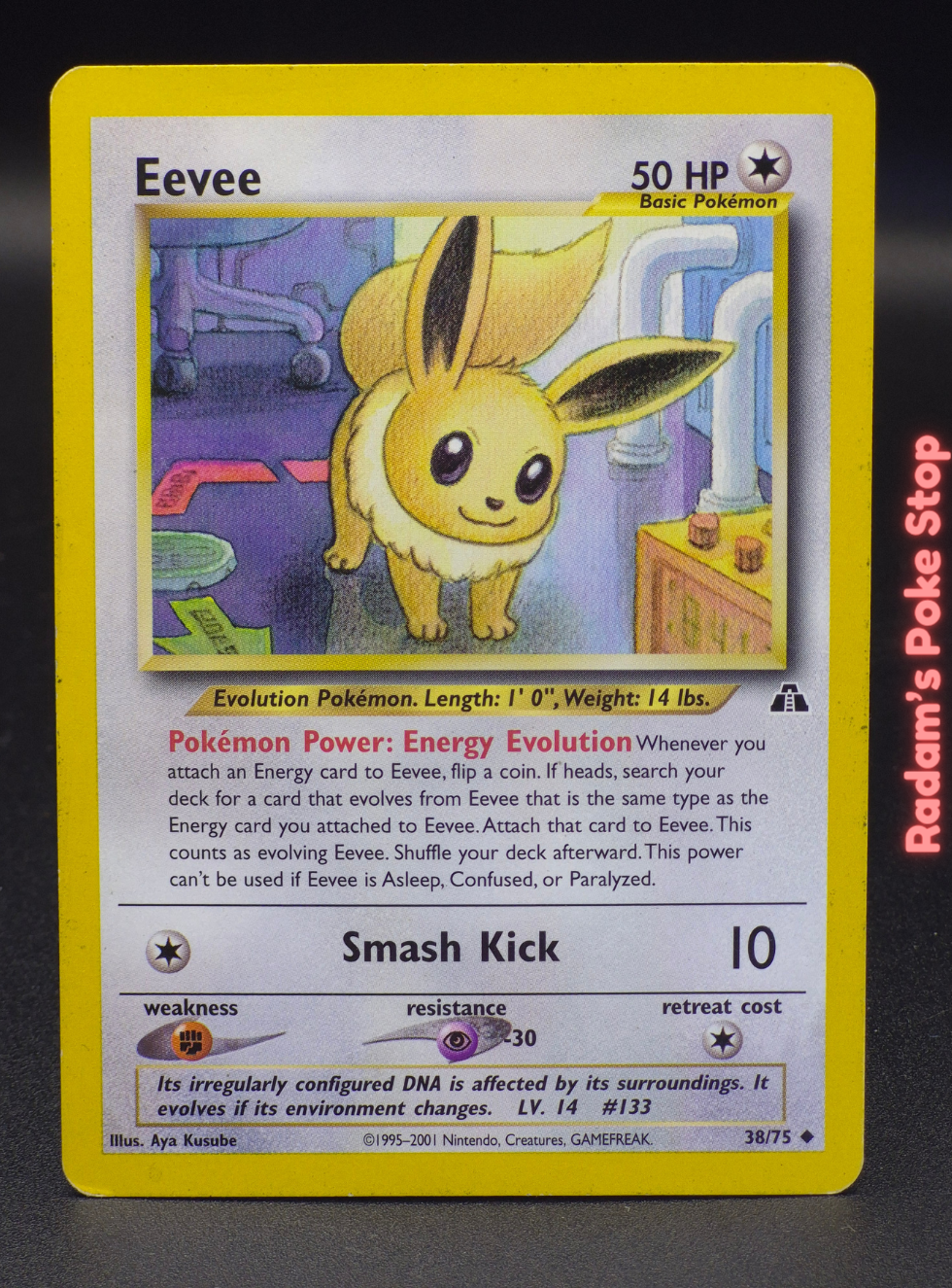 Neo d 38_75 eevee.png