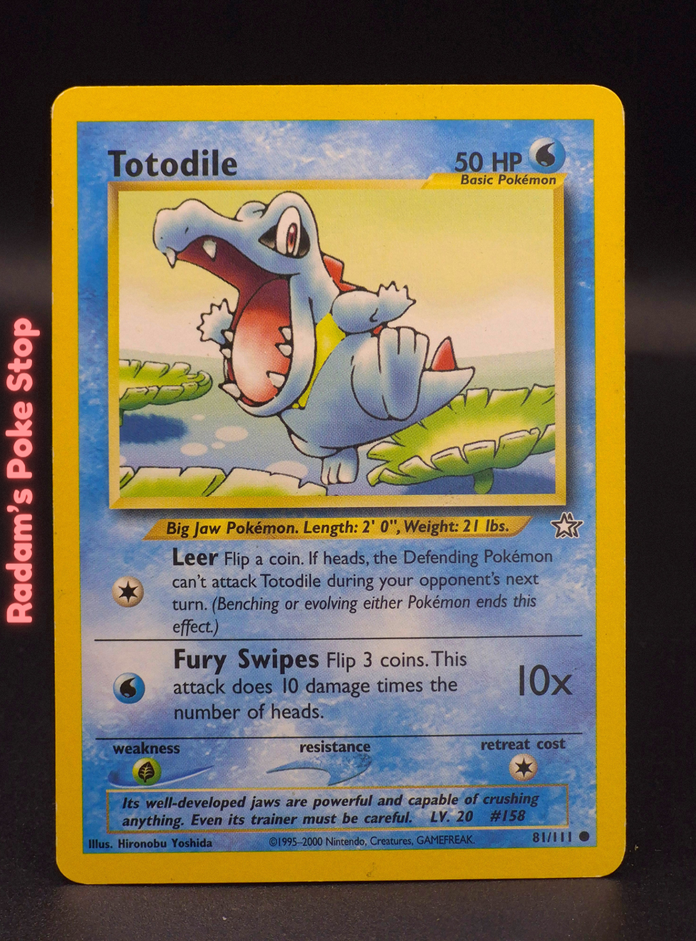 neo g 81_111 totodile.png