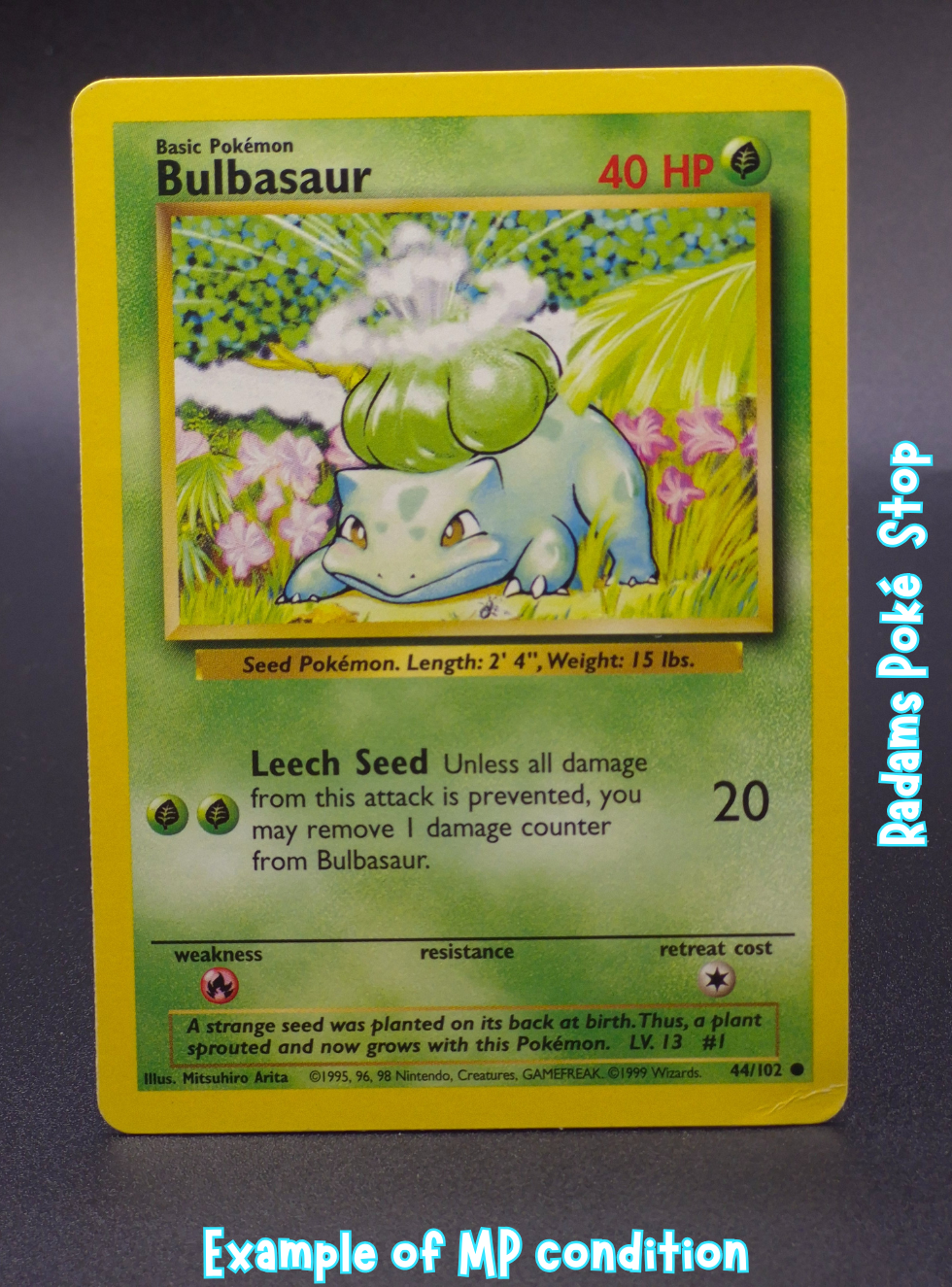 Base MP Bulbasaur 44_102.png