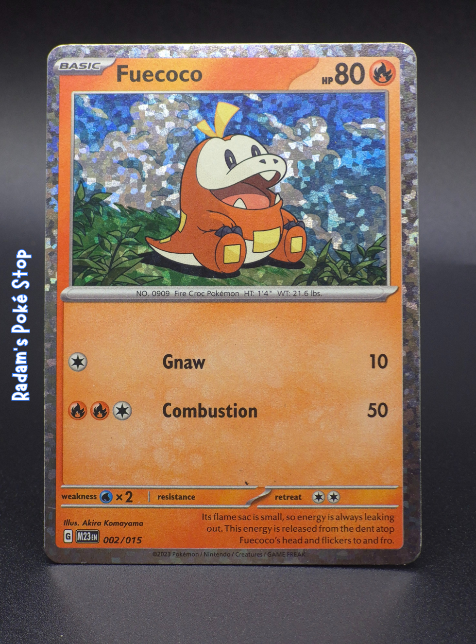 Fuecoco Mcdonald's Promo Holo #2 2023