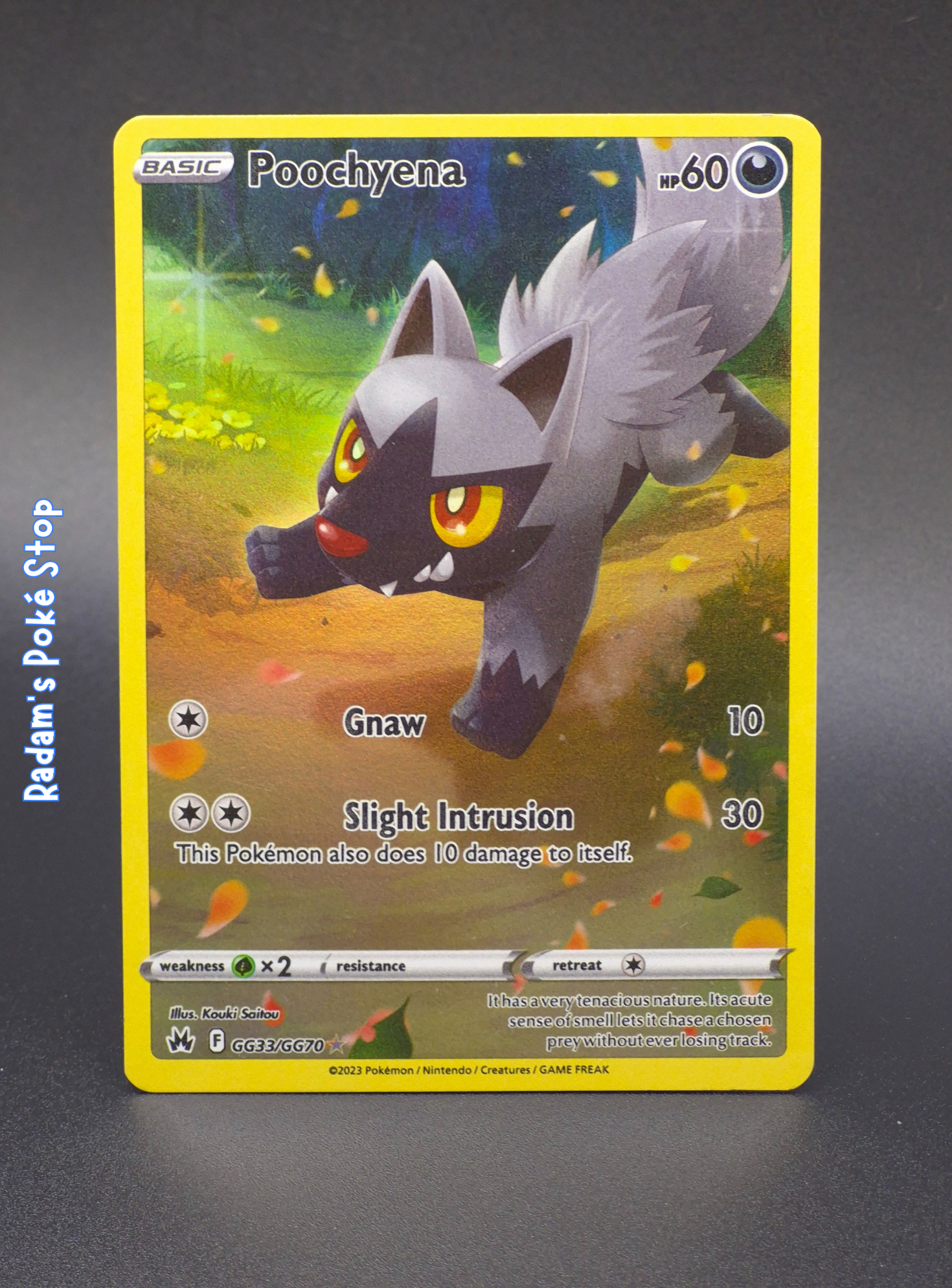 Poochyena #GG33 Crown Zenith, Galarian Gallery