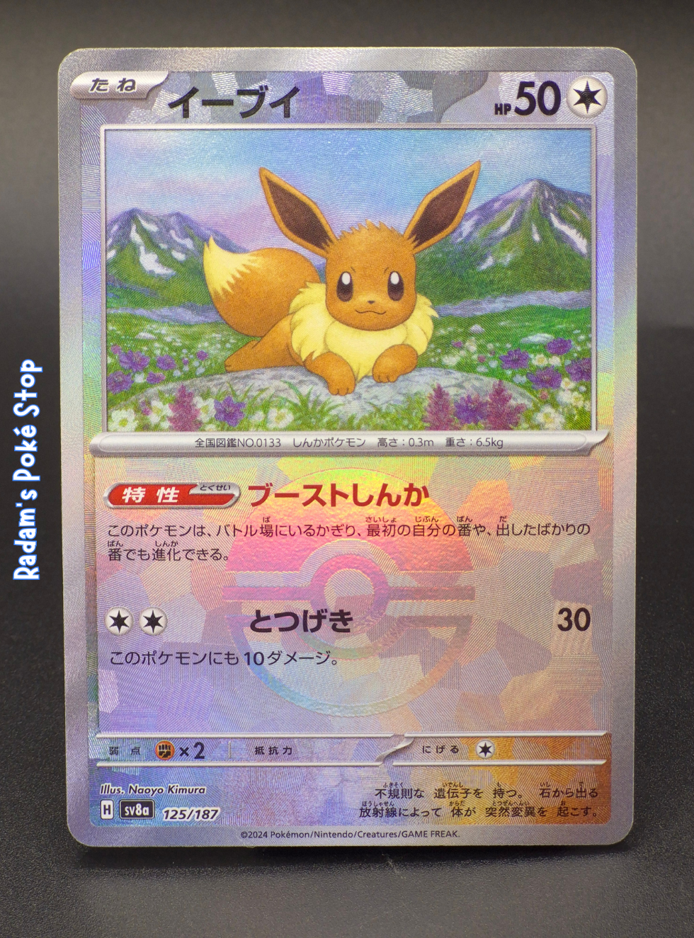 sv8a 125_187 eevee.png