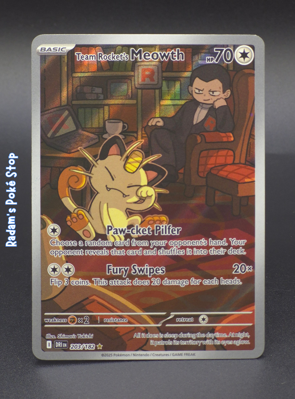 DRI+203_182+meowth.png