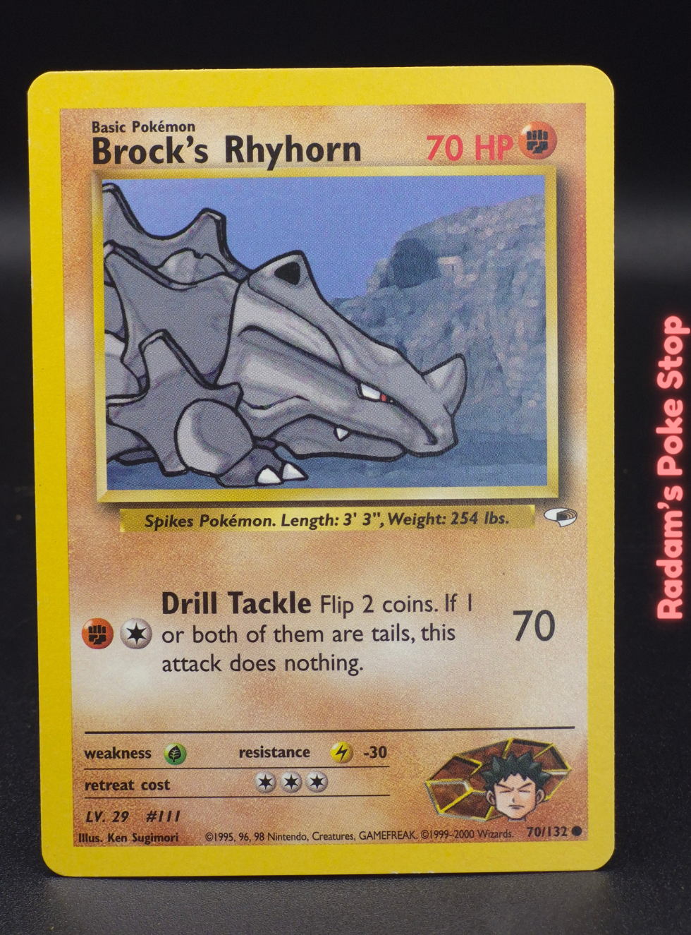 GH 70_132 brock's rhyhorn (5).png