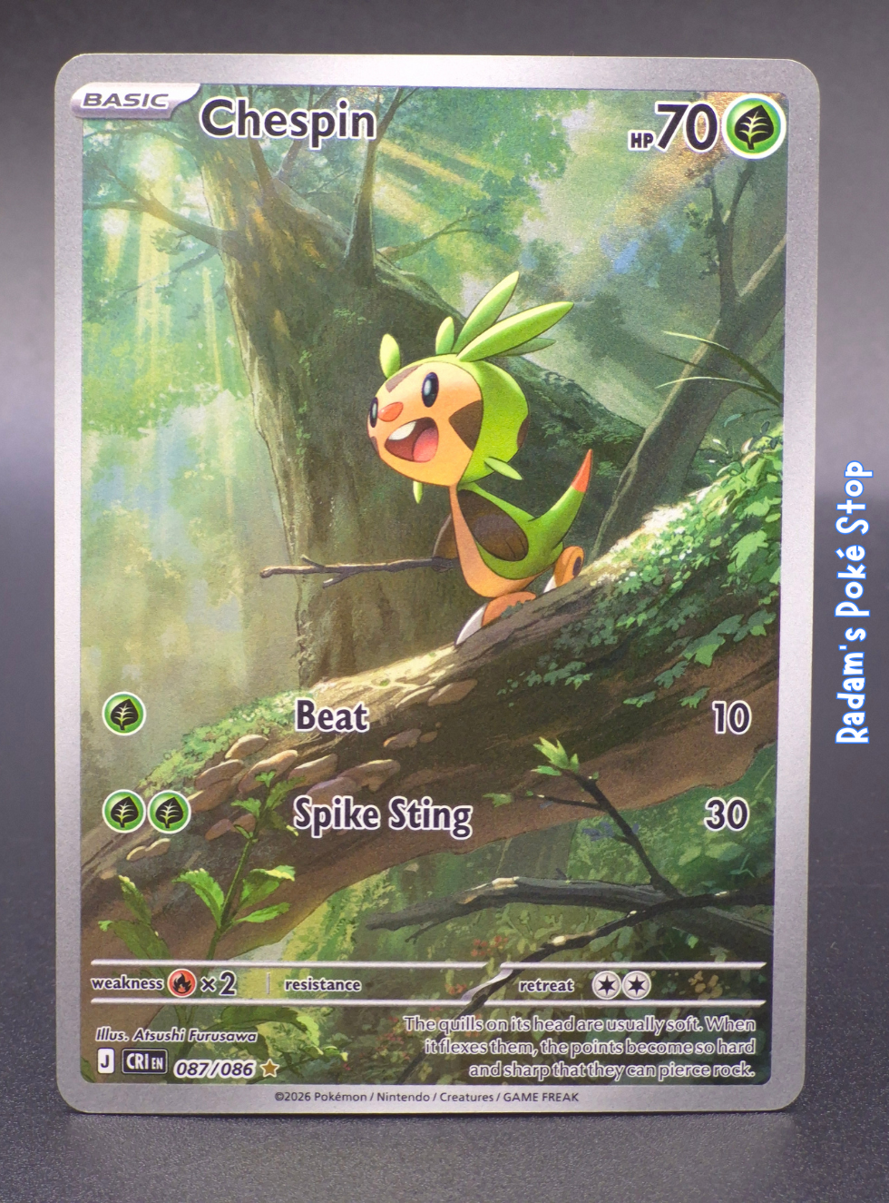 CRI 087_086 chespin.png