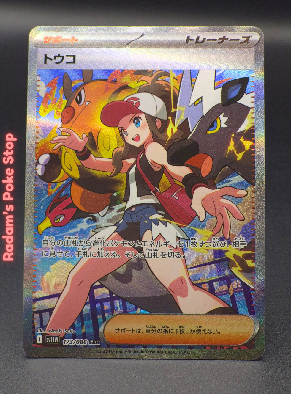 SV11W 173_086 Hilda.png